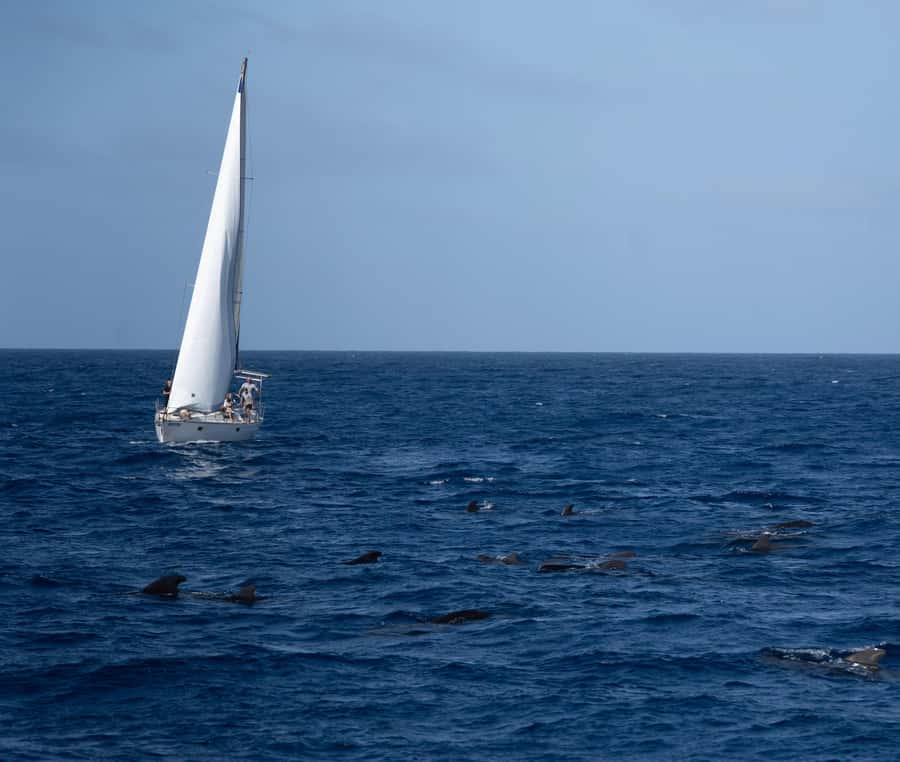 Half-Day Sailing Yacht Adventure in Sal Island - 3 hours - A Quiet Start Along Sal’s Southwest Coast