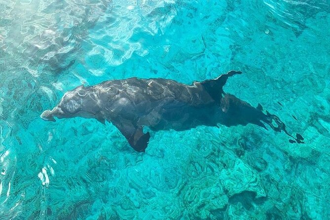Half Day Snorkeling, Sightseeing & Island Hopping Private Charter - What the crew adds to the day