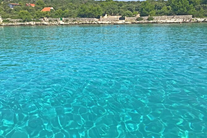 Half Day Speedboat Tour to Three Islands from Trogir - Morning or afternoon?
