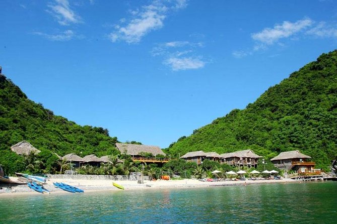 Halong Bay and Lan Ha Bay from Cat Ba Island: Cruise and Kayak Tour - A small group, but not a private tour