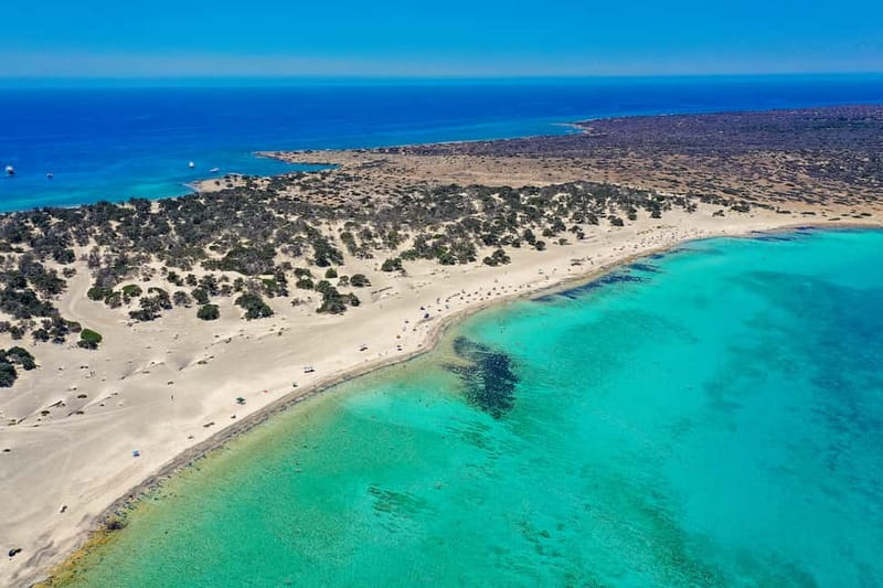 Heraklion: Cruise to Chrissi Island Natural Park with Pickup - Chrissi Island and the swim to Belegrina Beach