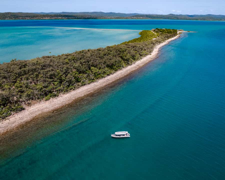 Hervey Bay: Exclusive Island Hopper Adventure Cruise - A Fast Start from Great Sandy Straits Marina