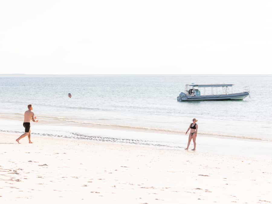 Hervey Bay: Exclusive Island Hopper Adventure Cruise - What the Four-Hour Rhythm Feels Like