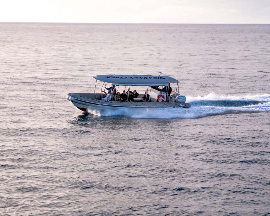Hervey Bay: Half-Day Whale and Island Adventure by Boat - What the four to four-and-a-half hours look like