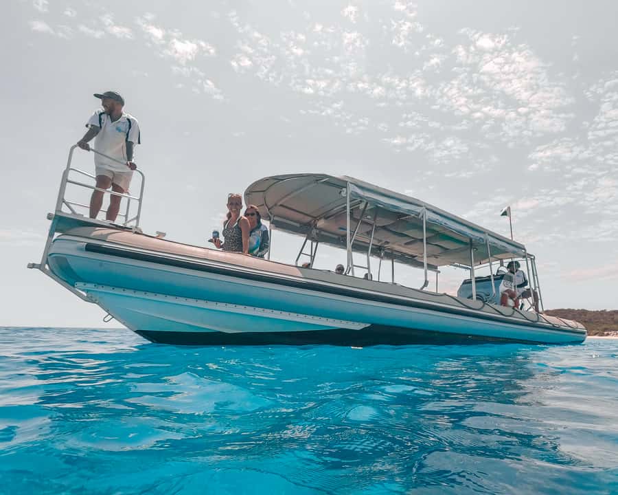 Hervey Bay: Half-Day Whale and Island Adventure by Boat - Is $116 good value?