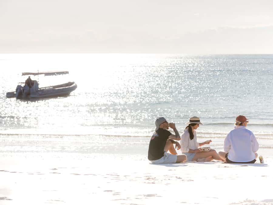 Hervey Bay: Half-Day Whale and Island Adventure by Boat - The final call: should you book?