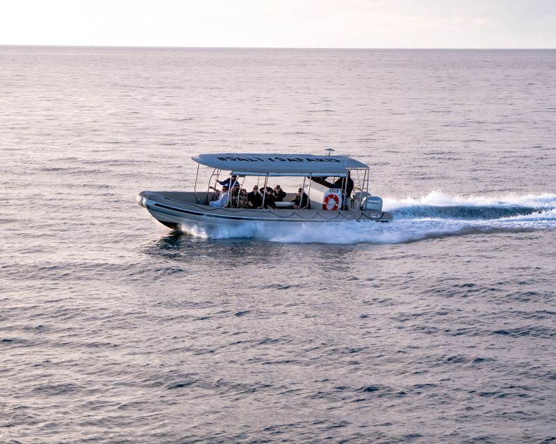 Hervey Bay: Half-Day Whale and Island Adventure by Boat - FAQ