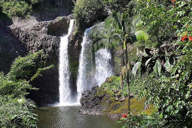Hilo Waterfall Swim and Hike with Hilo Cruise Ship Pickup - The 8:30 a.m. Port of Hilo pickup