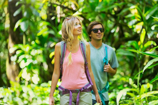 Hilo Waterfall Swim and Hike with Hilo Cruise Ship Pickup - How hard is the three-mile walk?