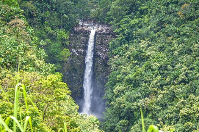 Hilo Waterfall Swim and Hike with Hilo Cruise Ship Pickup - Is $198.95 a fair price?