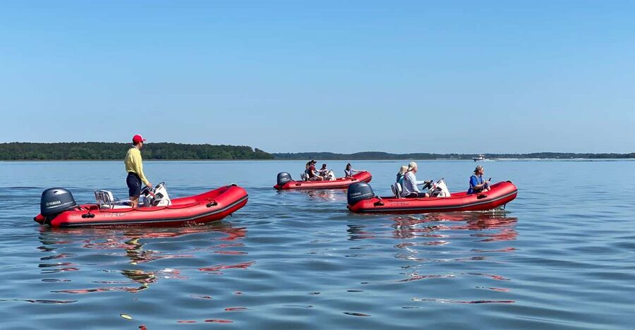 Hilton Head: Guided Disappearing Island Tour by Mini Boat - Is $199 good value for two people?