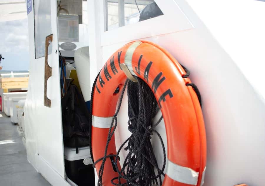 Hilton Head Island: Crabbing Expedition Boat Tour - Who will enjoy the Tammy Jane most