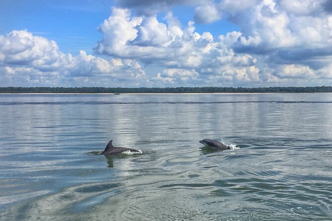 Hilton Head Island Dolphin Boat Cruise - Key points to know before boarding