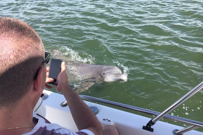 Hilton Head Island Dolphin Boat Cruise - Picking the best time of day