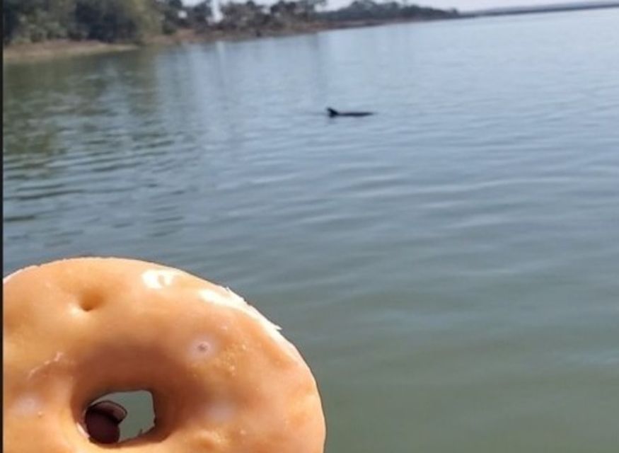 Hilton Head Island: Dolphin Watching Cruise with Donuts - A dolphin cruise with a distinctly local flavor