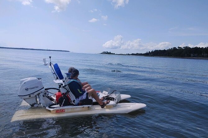 Hilton Head Island Guided Water Tour by Creek Cat Boat - Seeing dolphins, birds, rays, and oysters