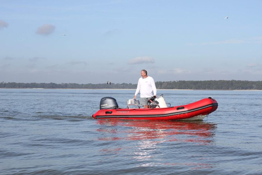 Hilton Head Island: Mini Boat Dolphin Tour - Key points at a glance