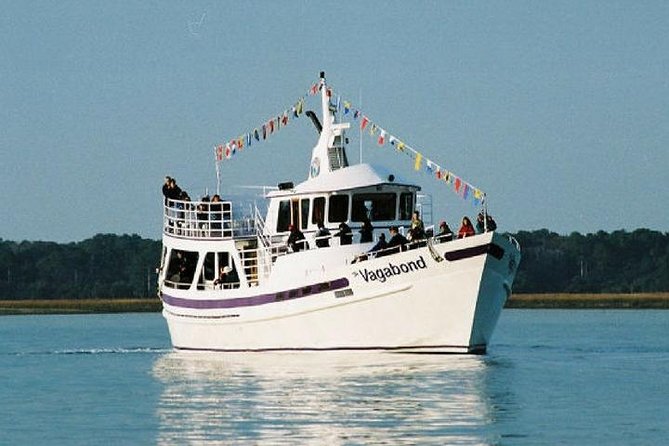 Hilton Head Island Ocean Dolphin Cruise - Dolphins first, then the Lowcountry view