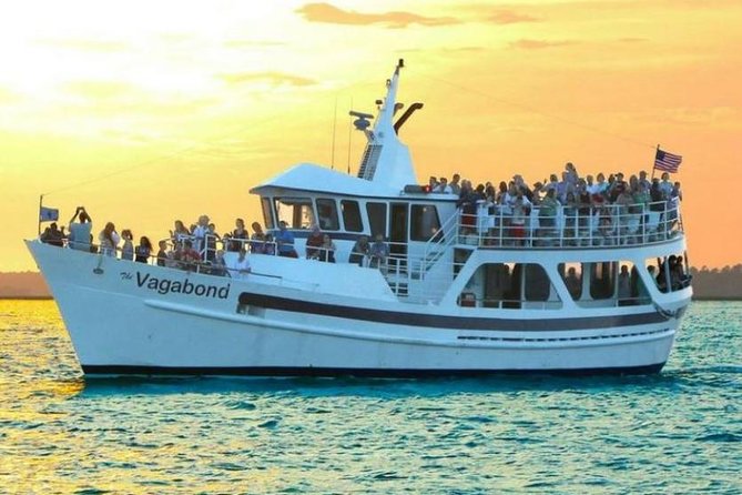 Hilton Head Island Ocean Dolphin Cruise - The best season and conditions
