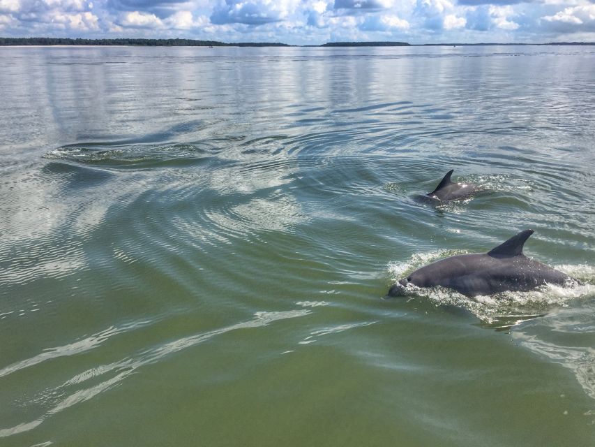 Hilton Head Island: Pontoon Boat Rental - The Boat And Its Useful Features