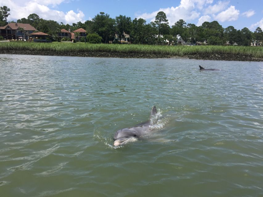 Hilton Head Island: Pontoon Boat Rental - Checking in at the Island Head building