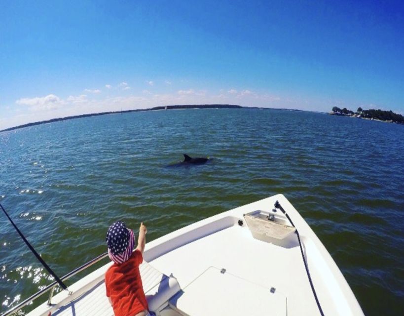 Hilton Head Island: Private Dolphin Watching Boat Tour - Key points at a glance