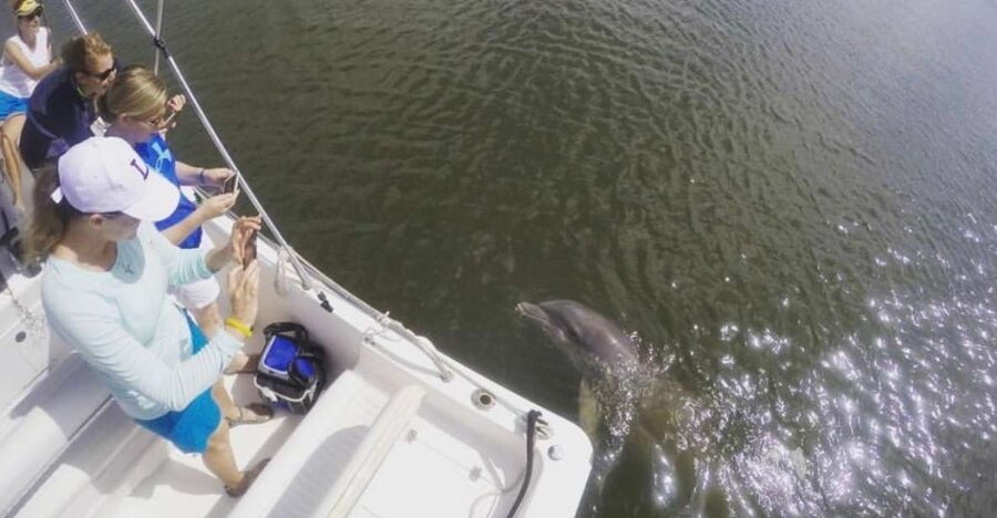 Hilton Head Island: Private Dolphin Watching Boat Tour - Snacks, drinks, and family photos