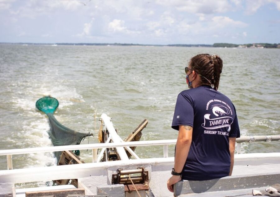 Hilton Head Island: Shrimp Trawling Boat Tour - The sorting table is where the tour comes alive