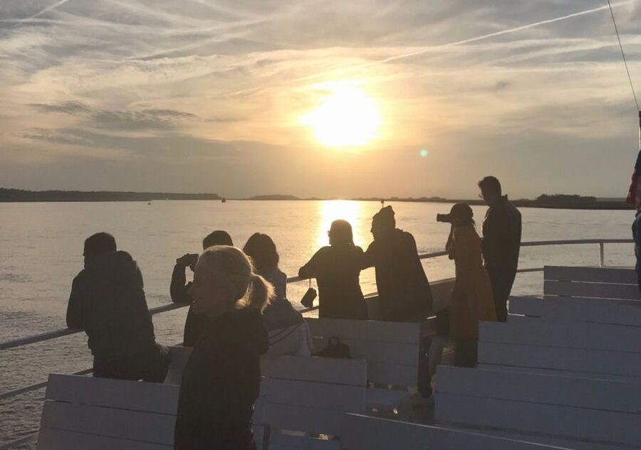 Hilton Head Island: Sunset Dolphin Cruise - Key points at a glance