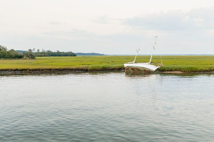 Hilton Head Island: Sunset Dolphin Cruise - Should you book the Hilton Head sunset dolphin cruise?