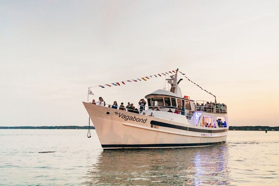 Hilton Head Island: Sunset Dolphin Cruise - From Harbour Town Pier to open water