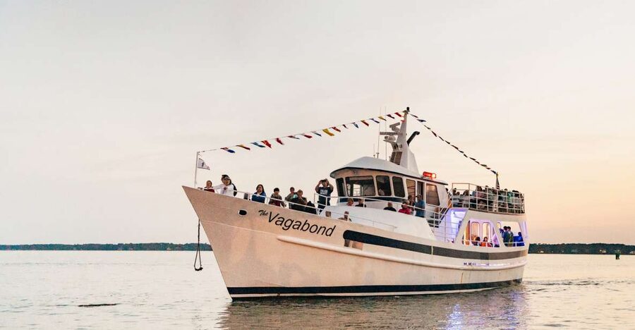Hilton Head Island: Sunset Dolphin Cruise - Live commentary from the captain