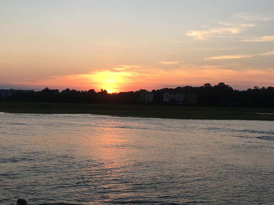 Hilton Head Island: Sunset Dolphin Watching Cruise - Should you book the Sunset Dolphin Watching Cruise?