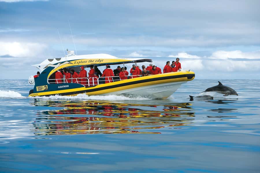 Hobart: Bruny Island Wilderness Coast Eco Cruise with Lunch - Key points at a glance