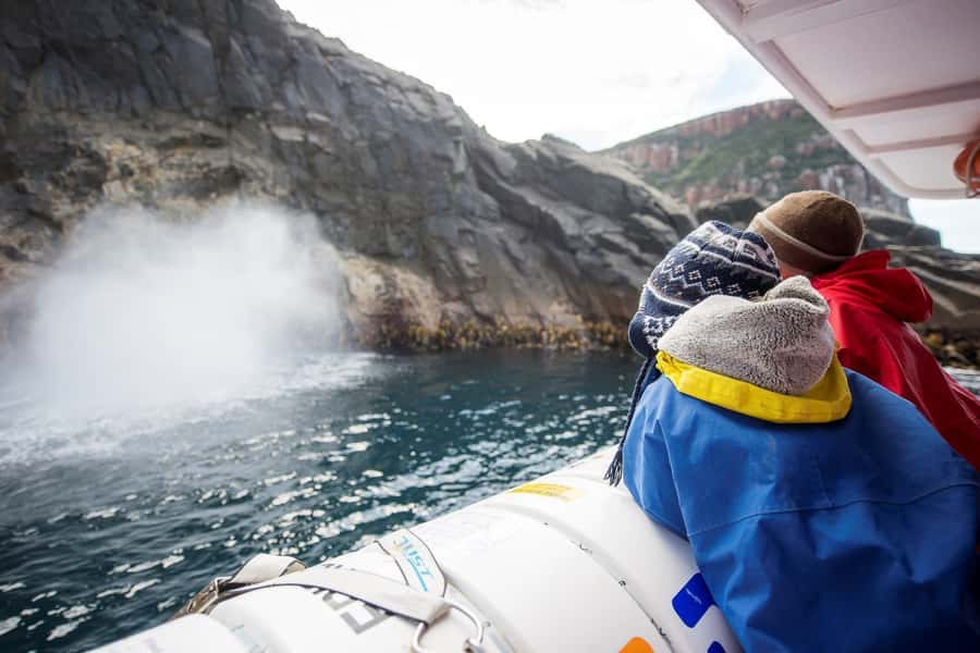 Hobart: Bruny Island Wilderness Coast Eco Cruise with Lunch - Adventure Bay and the three-hour cruise