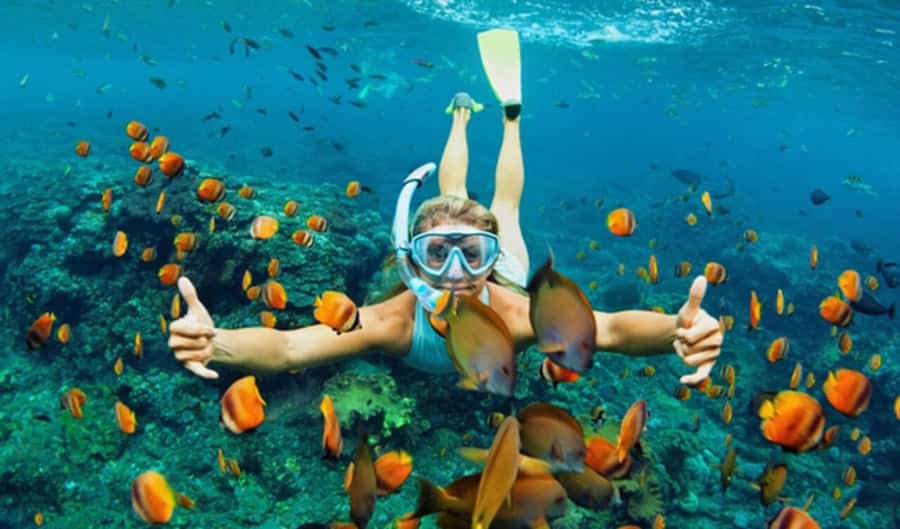 Hoi An: Cham Islands Snorkeling Trip by Speedboat with Lunch - Key points to know before you book