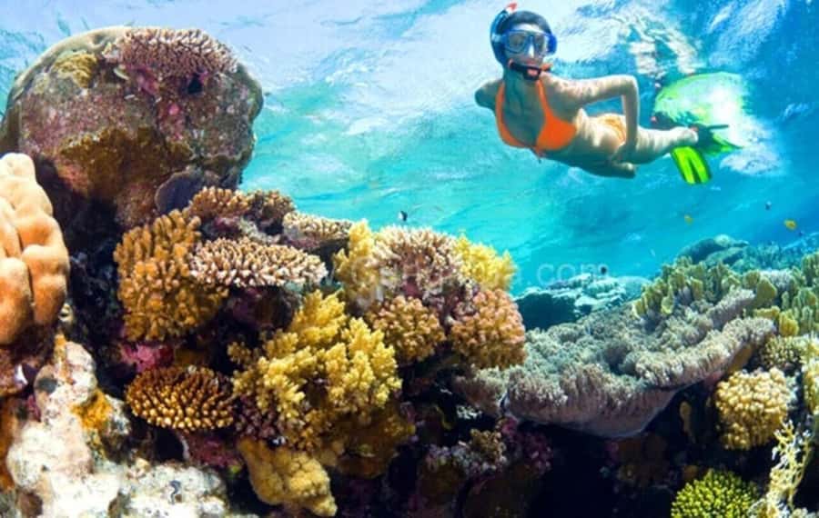 Hoi An: Cham Islands Snorkeling Trip by Speedboat with Lunch - Leaving Hoi An for Cham Island by speedboat