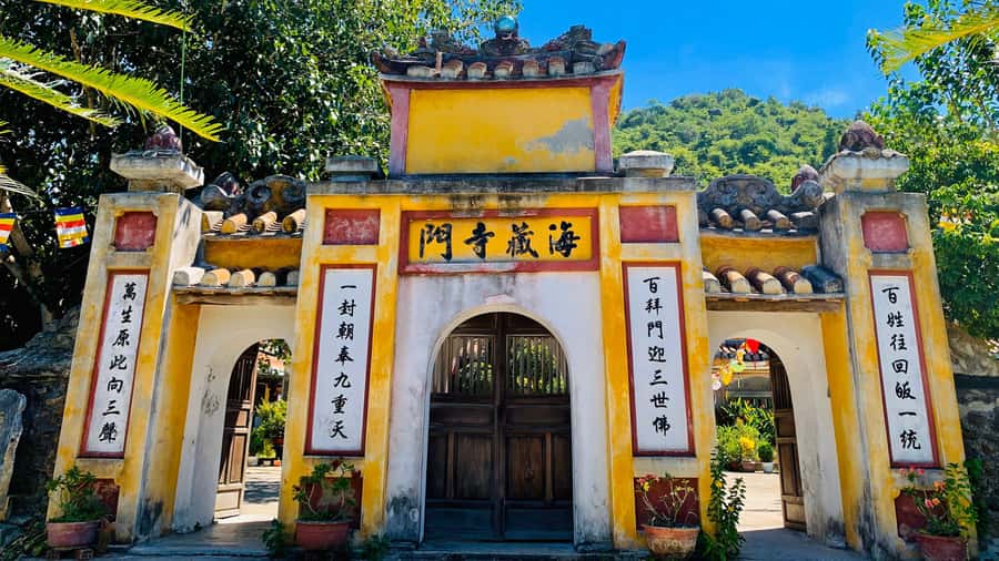 Hoi An: Cham Islands Snorkeling Trip by Speedboat with Lunch - Should you book the Cham Islands snorkeling trip?