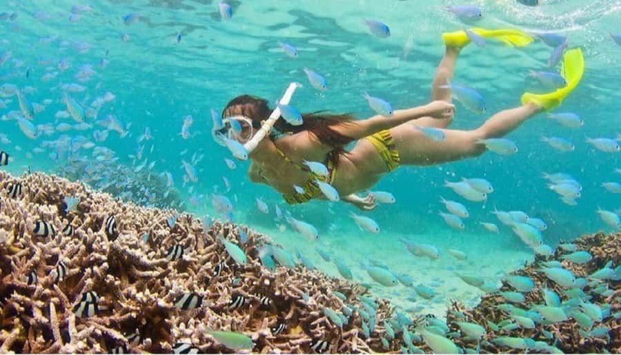 Hoi An: Cham Islands Snorkeling Trip by Speedboat with Lunch - A short look at island life, temples, and local history