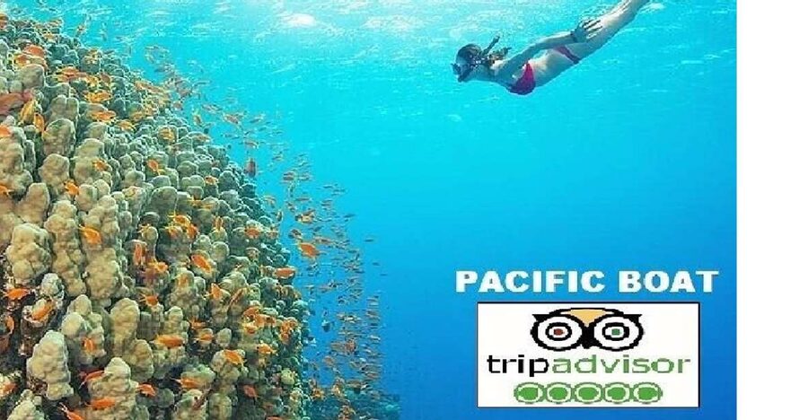 Hoi An/Da Nang: Snorkelling & Island-Hopping Speedboat Tour - Why this tour works for serious snorkeling time