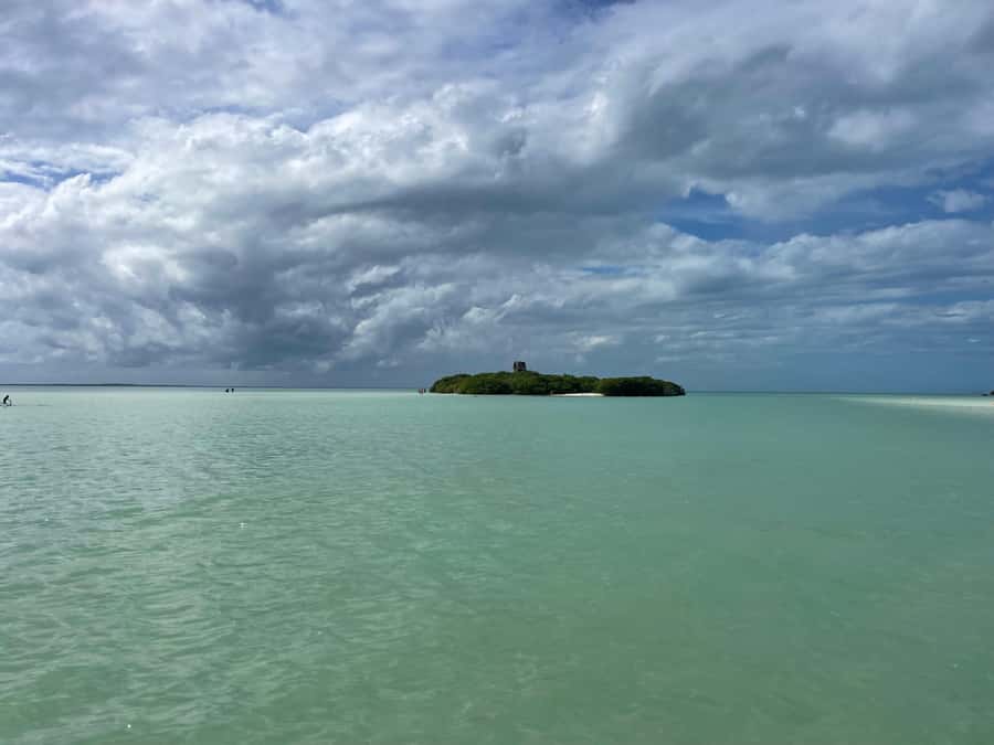 Holbox: Punta Mosquitos, Yalahau, & Pasión Island Boat Tour - A gentle introduction to Holbox’s wild side