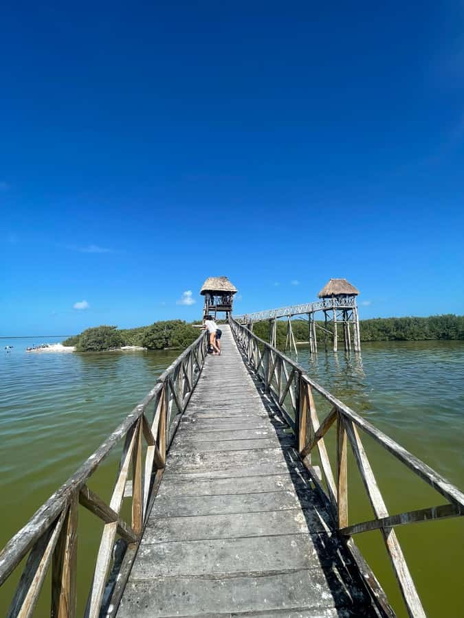 Holbox: Punta Mosquitos, Yalahau, & Pasión Island Boat Tour - Guides, language, and the value of good communication
