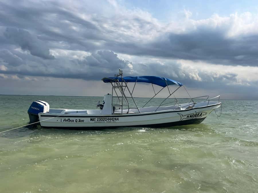 Holbox: Punta Mosquitos, Yalahau, & Pasión Island Boat Tour - Is $38 a good price for this Holbox tour?