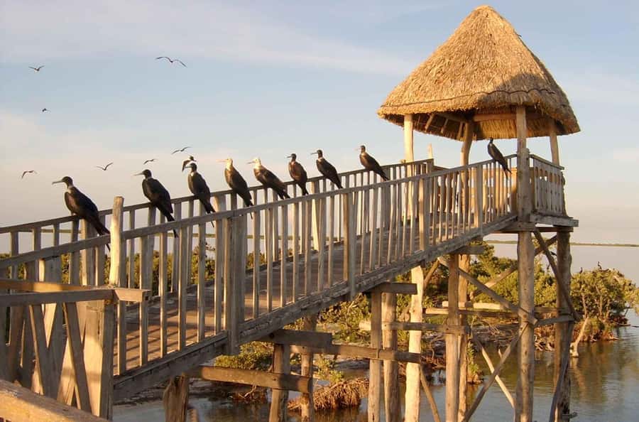 Holbox: Three Islands Tour - A Short Boat Trip With Three Very Different Stops
