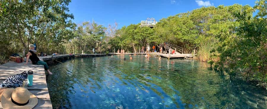 Holbox: Three Islands Tour - Watching Flamingos and Fish Around the Lagoon