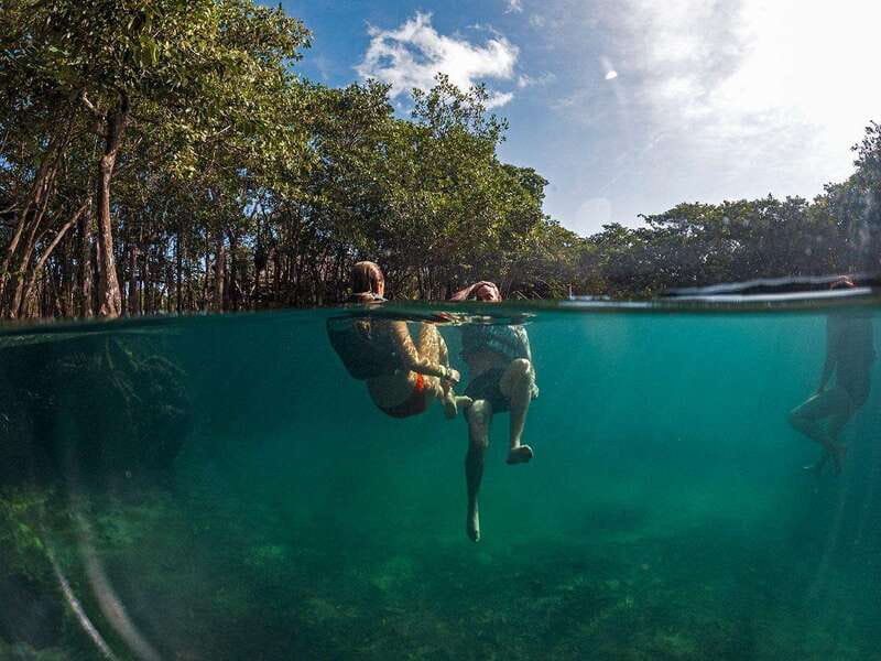 Holbox: Yum Balam Reserve Classic Boat Tour - Key points to know before booking