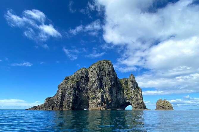 Hole in the Rock Cruise & Island Tour - with two island stopovers - Why this Bay of Islands trip works so well
