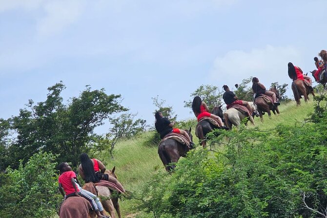 Horseback Riding at Hawksbill Beach in Five islands Antigua - Climbing the Antigua hills