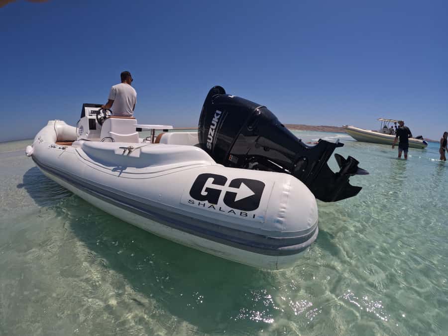Hurghada: 4 Island Hopping Tour Dolphin, Snorkeling & Lunch - Searching for dolphins in open water