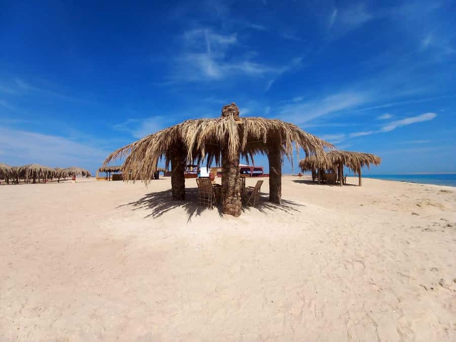 Hurghada: Boat trip to Magawish island with Multi Options - Key points before you book
